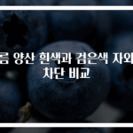 여름 양산 흰색과 검은색 자외선 차단 비교