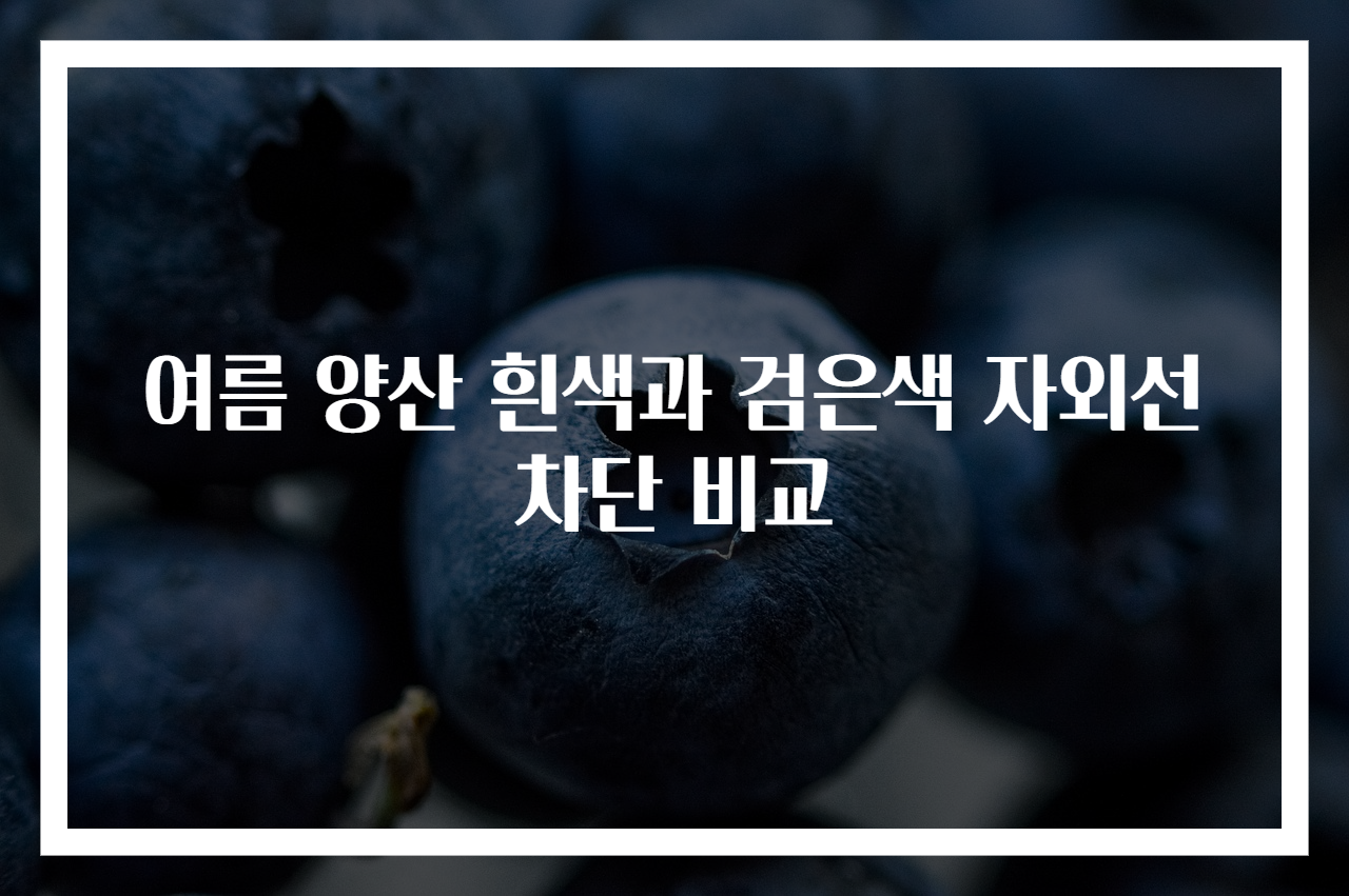 여름 양산 흰색과 검은색 자외선 차단 비교