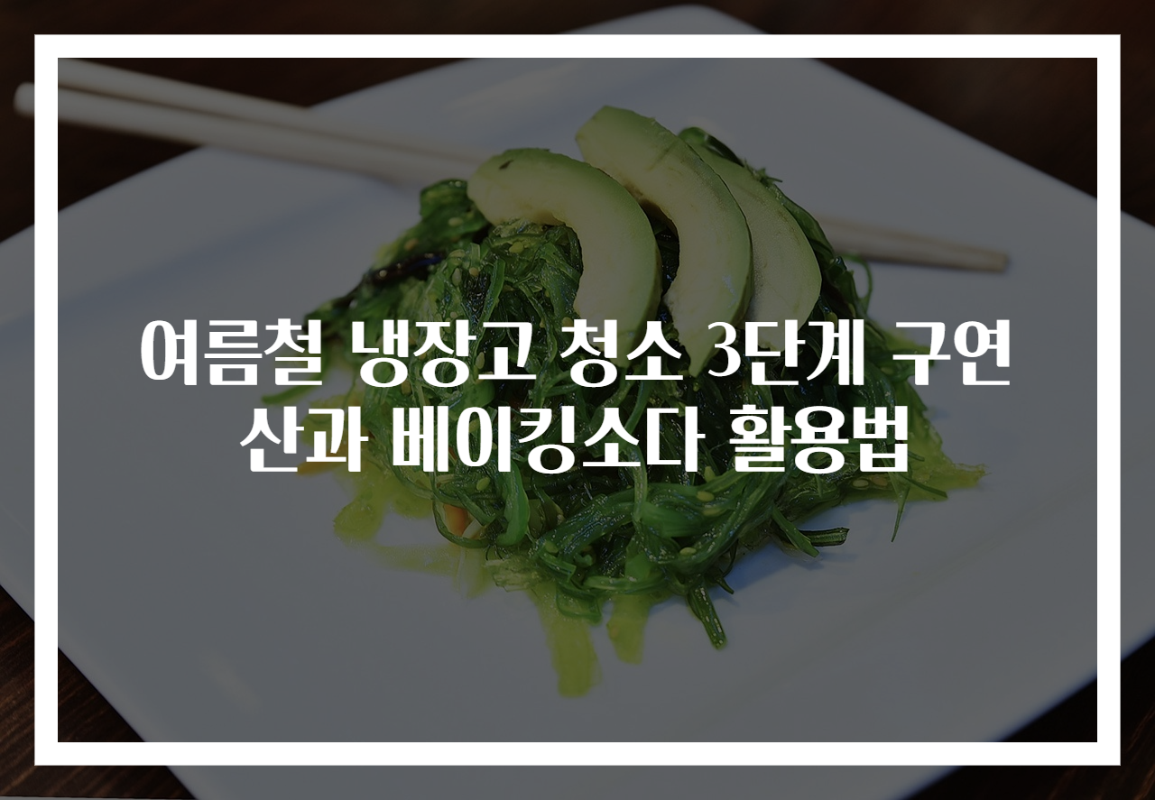 여름철 냉장고 청소 3단계 구연산과 베이킹소다 활용법