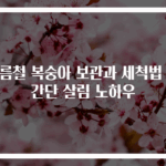 여름철 복숭아 보관과 세척법 초간단 살림 노하우