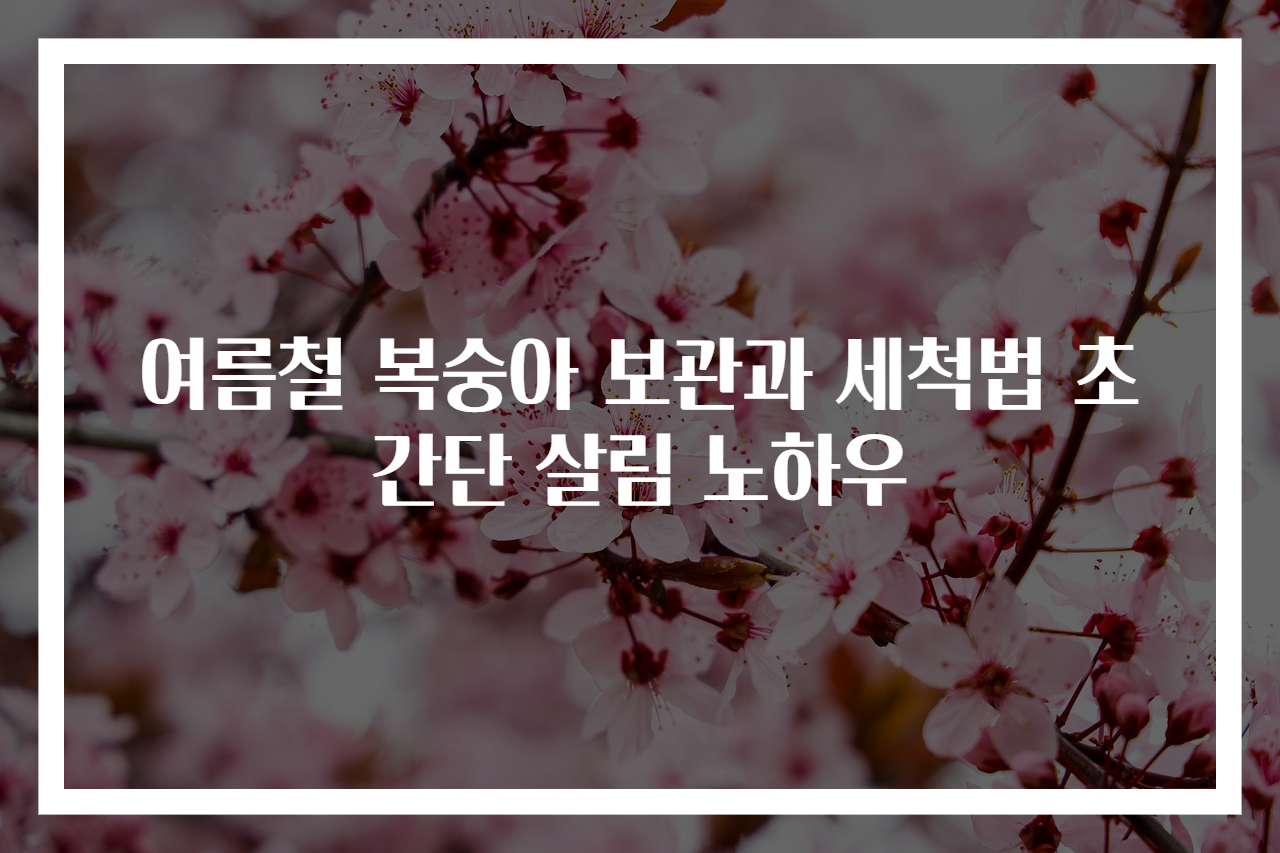 여름철 복숭아 보관과 세척법 초간단 살림 노하우