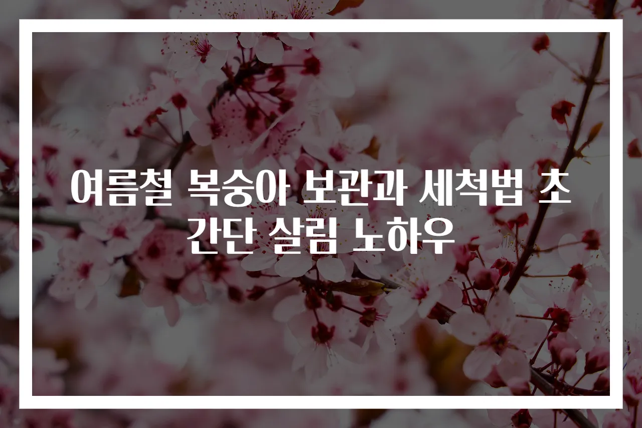 여름철 복숭아 보관과 세척법 초간단 살림 노하우