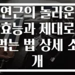 연근의 놀라운 효능과 제대로 먹는 법 상세 소개