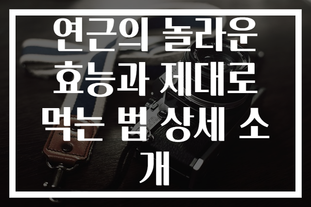 연근의 놀라운 효능과 제대로 먹는 법 상세 소개