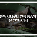 오른쪽 사타구니 안쪽 통증의 숨은 원인 3가지