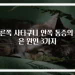 오른쪽 사타구니 안쪽 통증의 숨은 원인 3가지