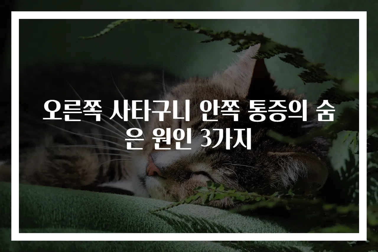 오른쪽 사타구니 안쪽 통증의 숨은 원인 3가지