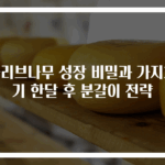 올리브나무 성장 비밀과 가지치기 한달 후 분갈이 전략