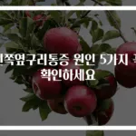 왼쪽옆구리통증 원인 5가지 꼭 확인하세요