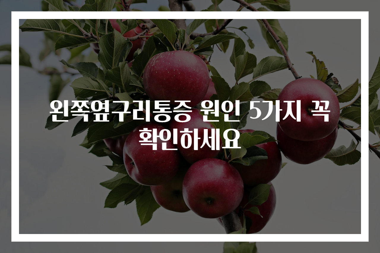 왼쪽옆구리통증 원인 5가지 꼭 확인하세요