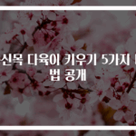 용신목 다육이 키우기 5가지 비법 공개