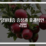 유당불내증 증상과 효과적인 관리법