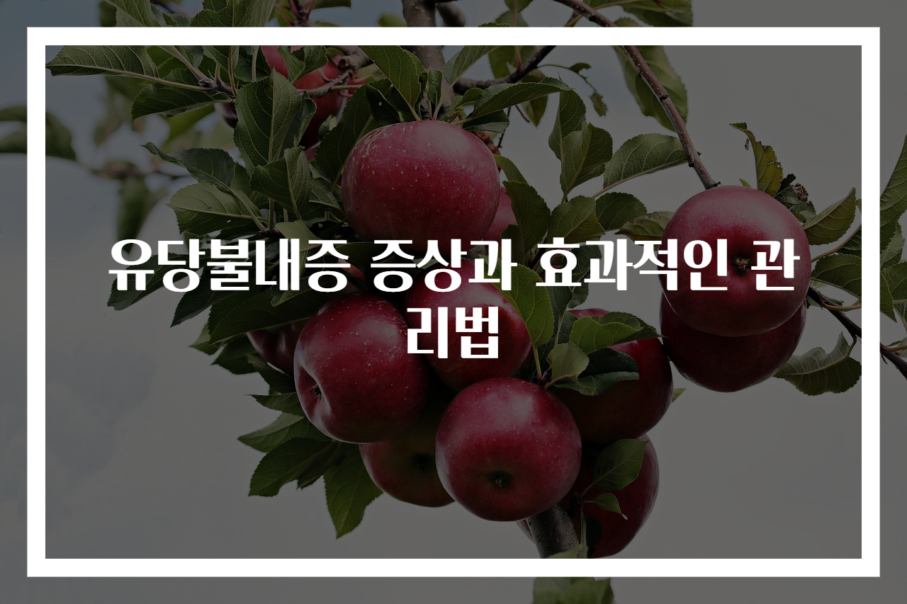 유당불내증 증상과 효과적인 관리법