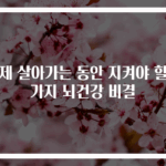 이제 살아가는 동안 지켜야 할 5가지 뇌건강 비결