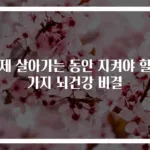 이제 살아가는 동안 지켜야 할 5가지 뇌건강 비결