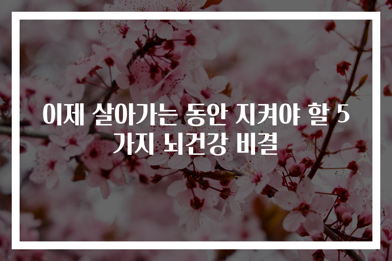 이제 살아가는 동안 지켜야 할 5가지 뇌건강 비결