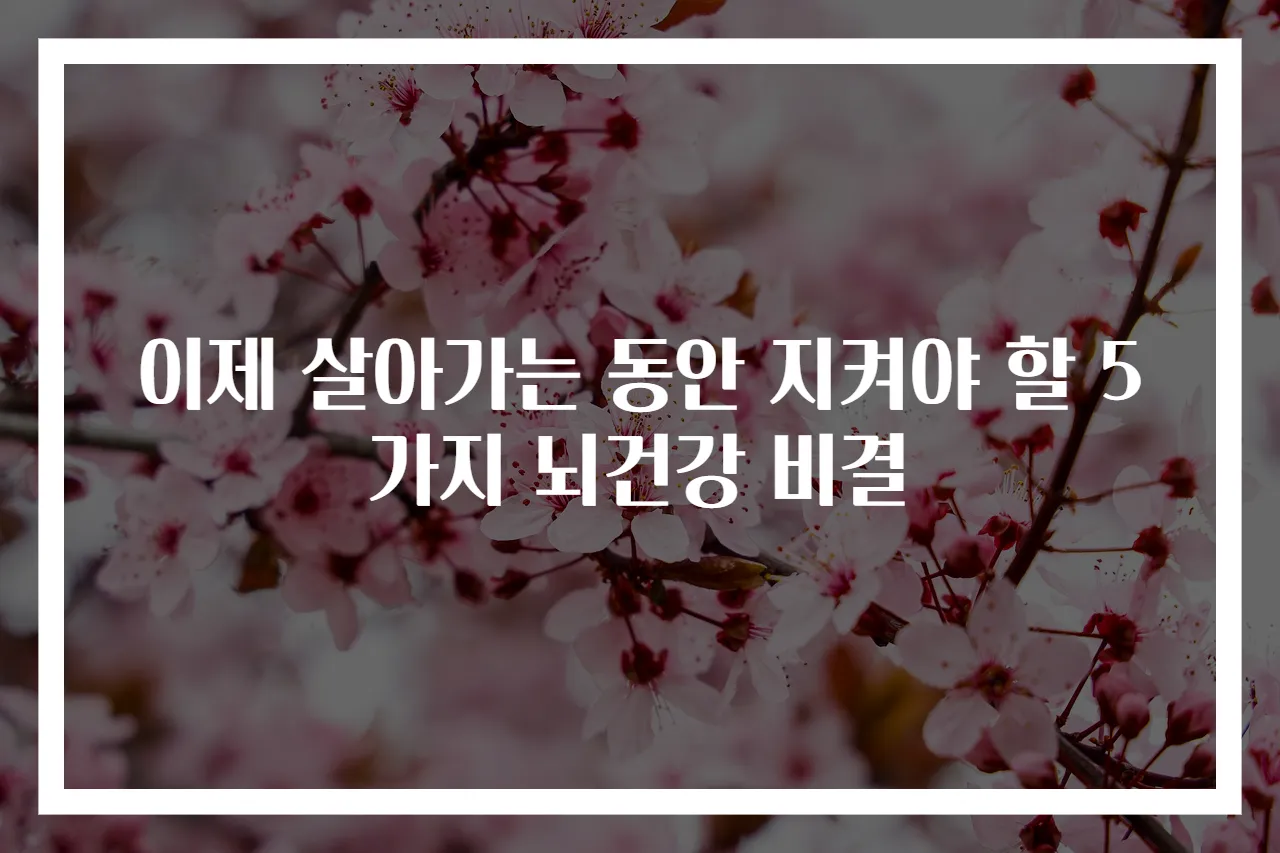이제 살아가는 동안 지켜야 할 5가지 뇌건강 비결