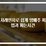 전자레인지로 쉽게 양배추 찌는법과 찌는시간