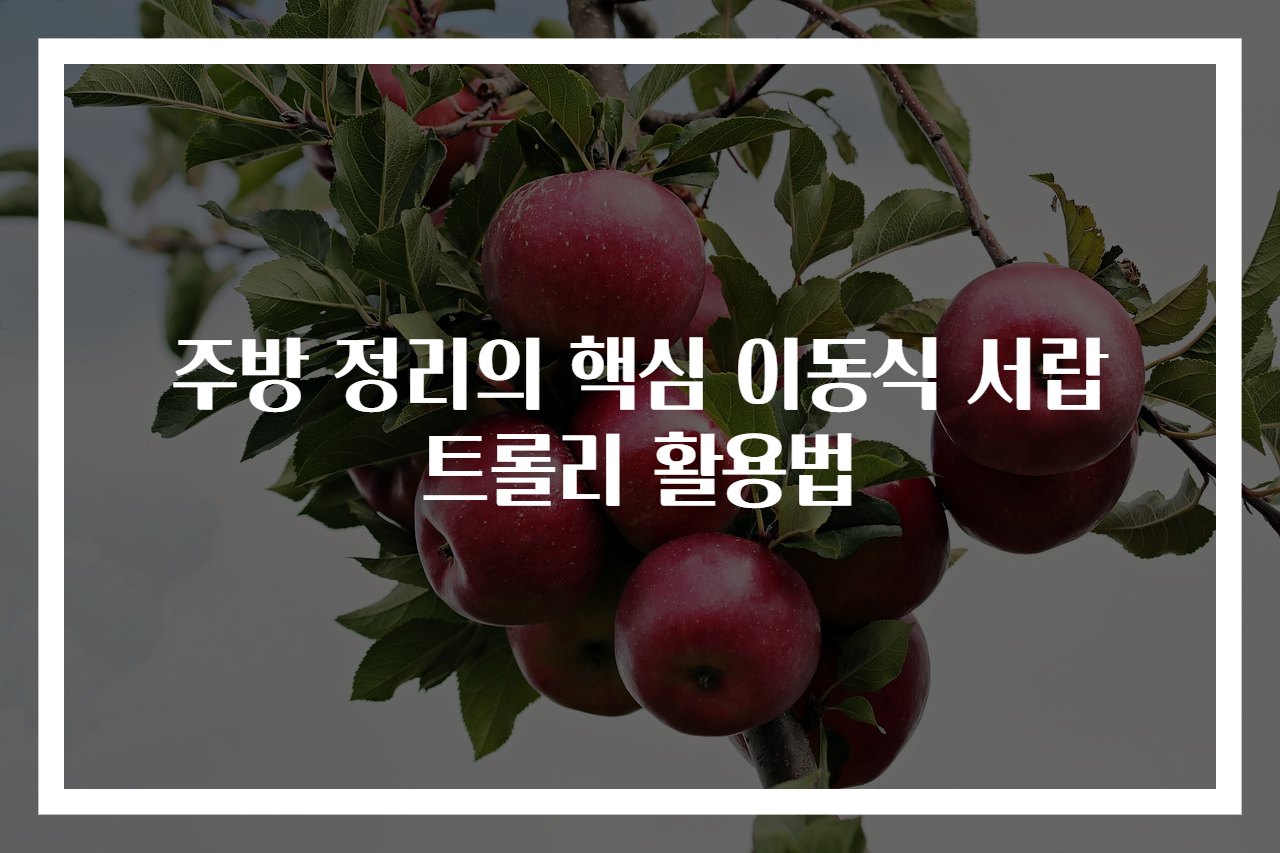 주방 정리의 핵심 이동식 서랍 트롤리 활용법