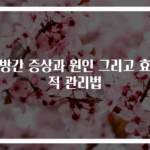 지방간 증상과 원인 그리고 효과적 관리법