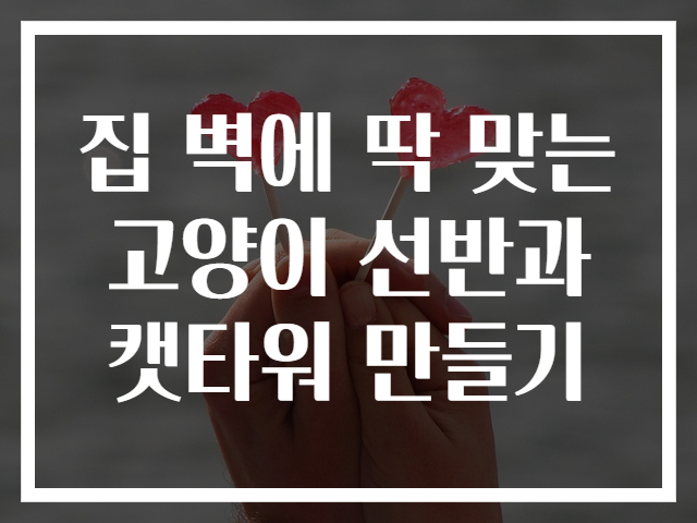 집 벽에 딱 맞는 고양이 선반과 캣타워 만들기