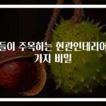 집들이 주목하는 현관인테리어 5가지 비밀