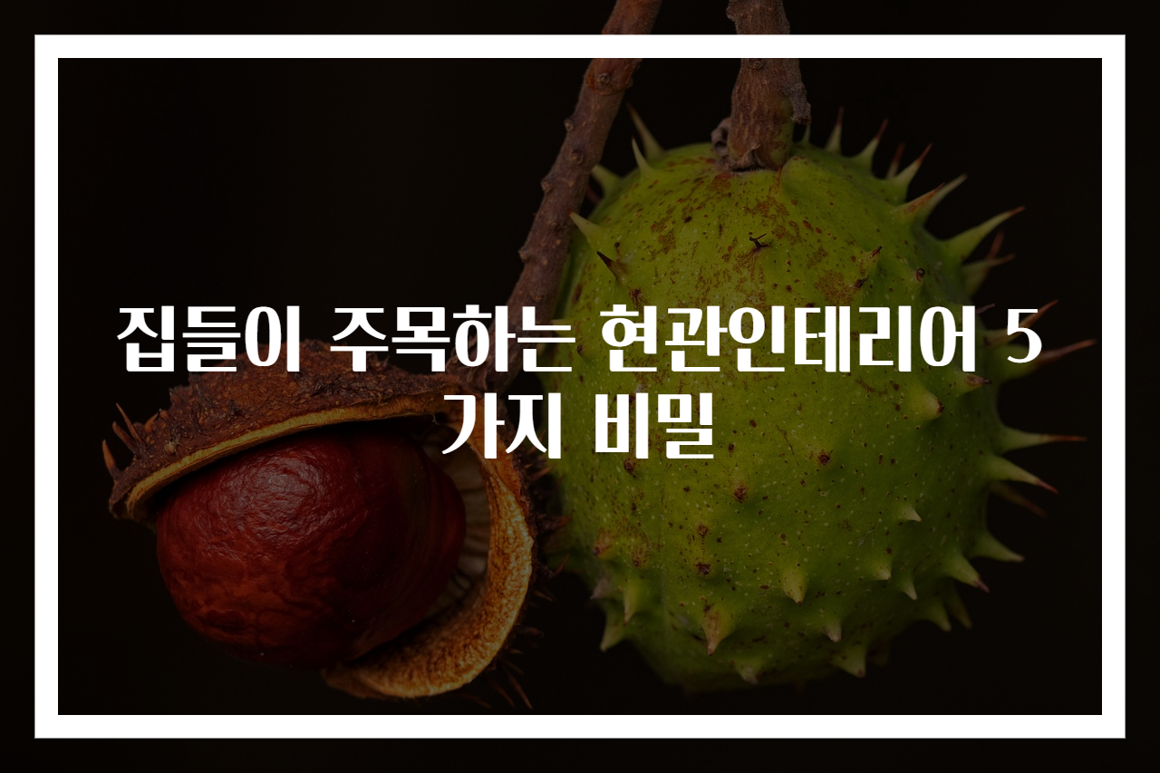 집들이 주목하는 현관인테리어 5가지 비밀