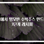 집에서 땡모반 수박주스 만드는 3단계 레시피