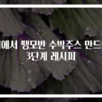 집에서 땡모반 수박주스 만드는 3단계 레시피