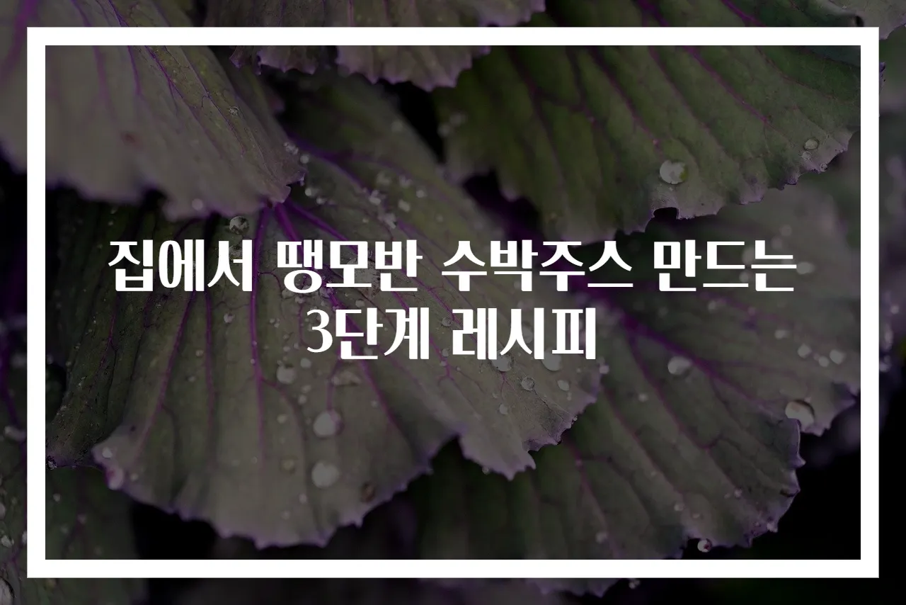 집에서 땡모반 수박주스 만드는 3단계 레시피