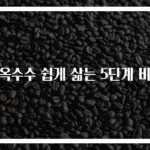 찰옥수수 쉽게 삶는 5단계 비법