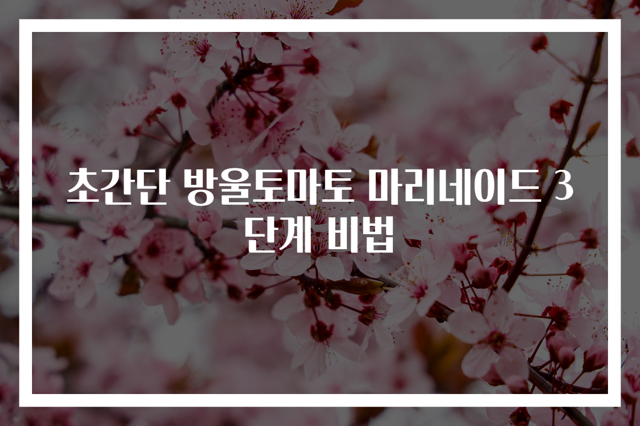 초간단 방울토마토 마리네이드 3단계 비법