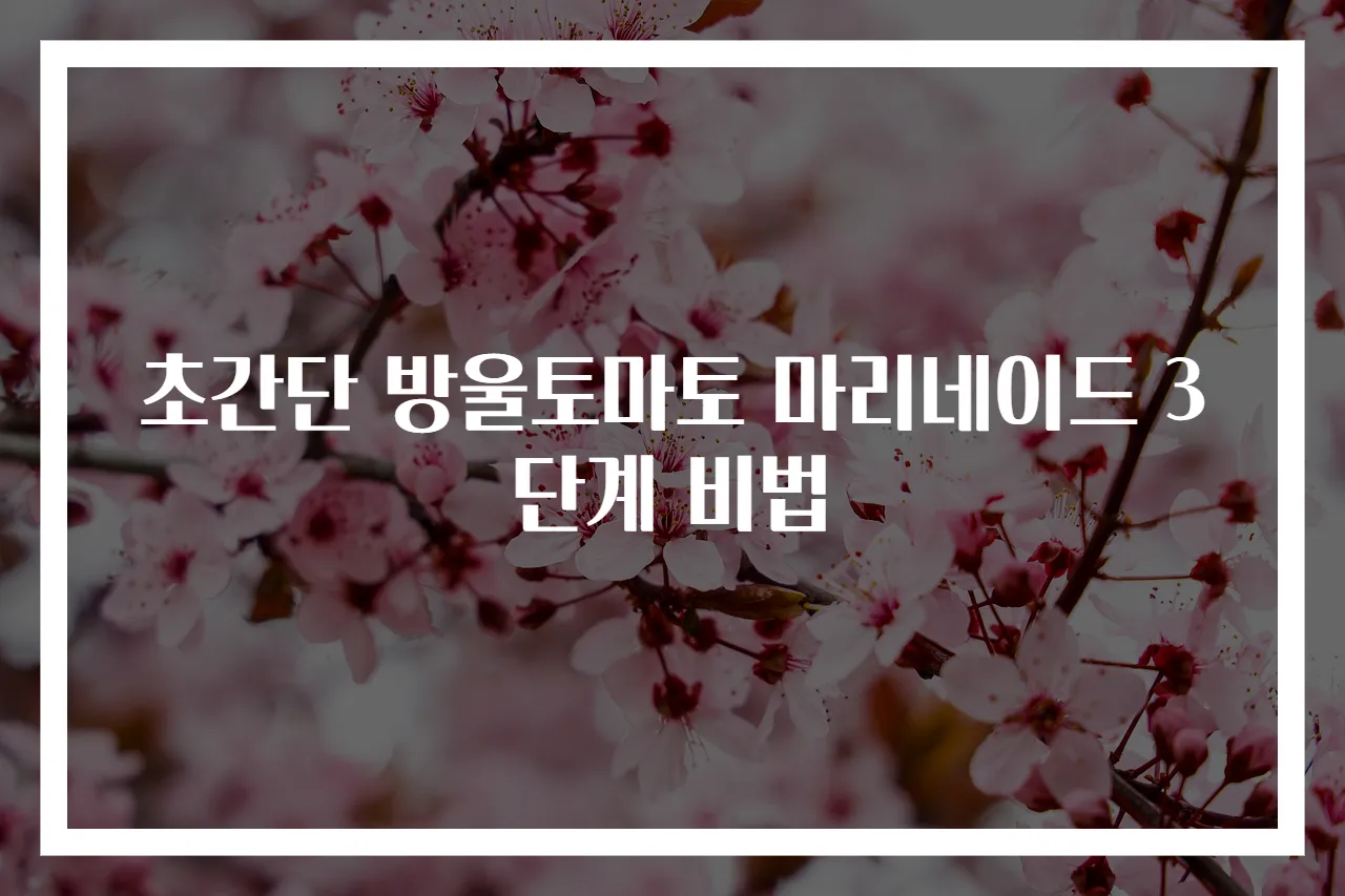 초간단 방울토마토 마리네이드 3단계 비법