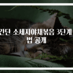 초간단 소세지야채볶음 3단계 비법 공개