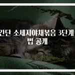 초간단 소세지야채볶음 3단계 비법 공개