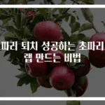 초파리 퇴치 성공하는 초파리트랩 만드는 비법
