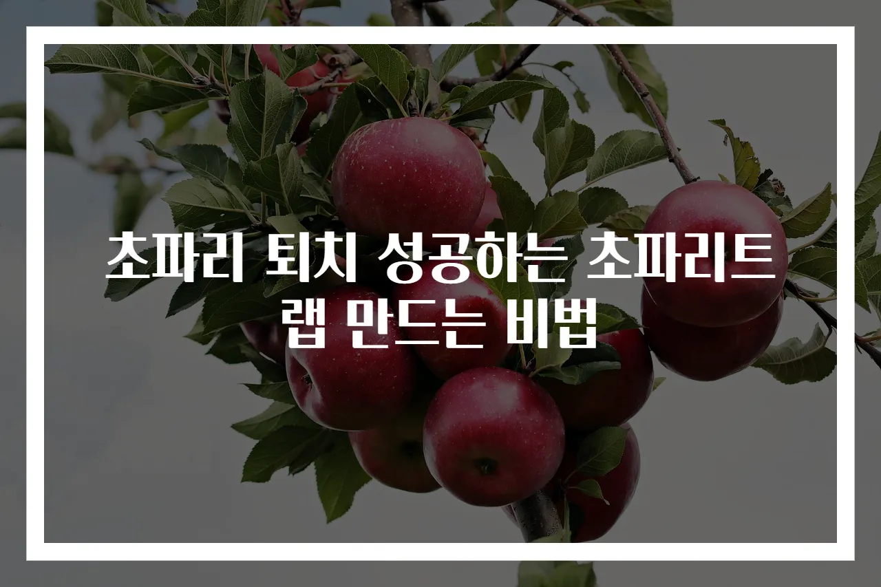 초파리 퇴치 성공하는 초파리트랩 만드는 비법