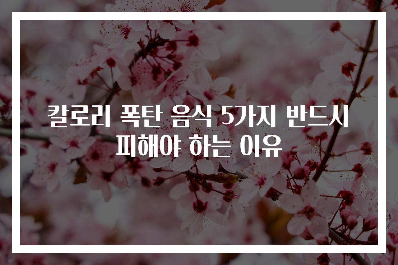 칼로리 폭탄 음식 5가지 반드시 피해야 하는 이유