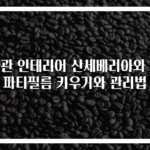 현관 인테리어 산세베리아와 스파티필름 키우기와 관리법