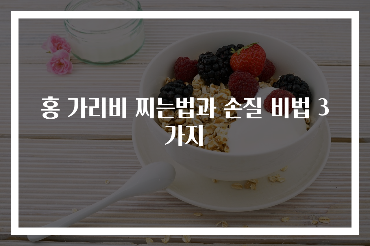 홍 가리비 찌는법과 손질 비법 3가지