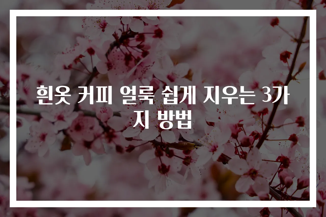 흰옷 커피 얼룩 쉽게 지우는 3가지 방법