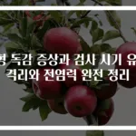 B형 독감 증상과 검사 시기 유아 격리와 전염력 완전 정리