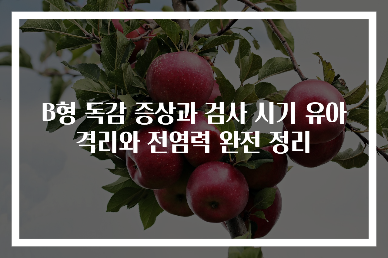 B형 독감 증상과 검사 시기 유아 격리와 전염력 완전 정리