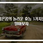 검은콩의 놀라운 효능 3가지를 알아보자