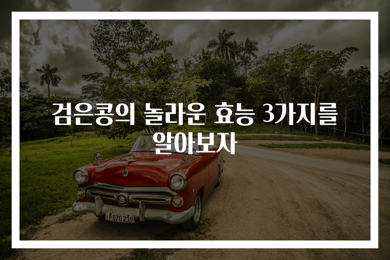 검은콩의 놀라운 효능 3가지를 알아보자