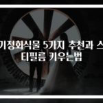 공기정화식물 5가지 추천과 스파티필름 키우는법