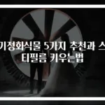 공기정화식물 5가지 추천과 스파티필름 키우는법