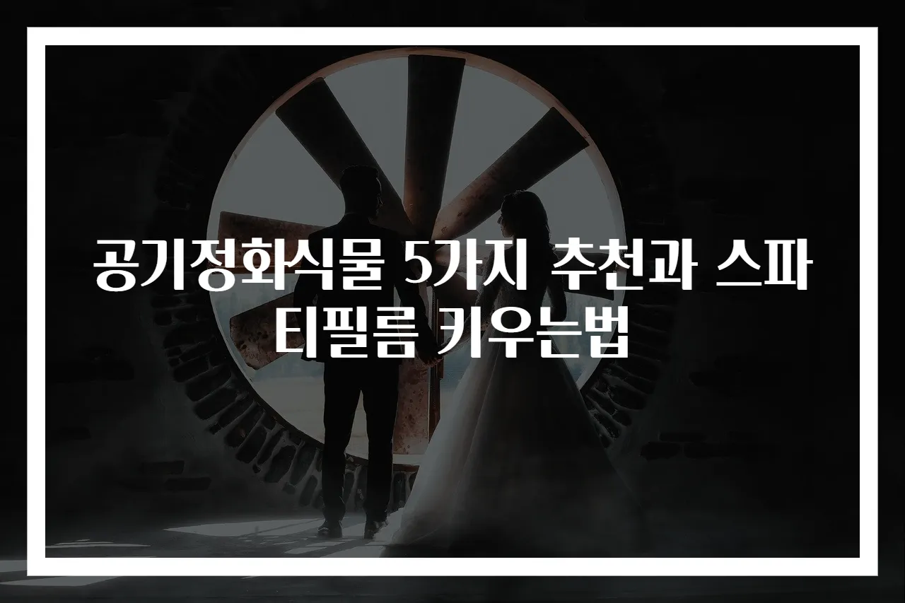 공기정화식물 5가지 추천과 스파티필름 키우는법