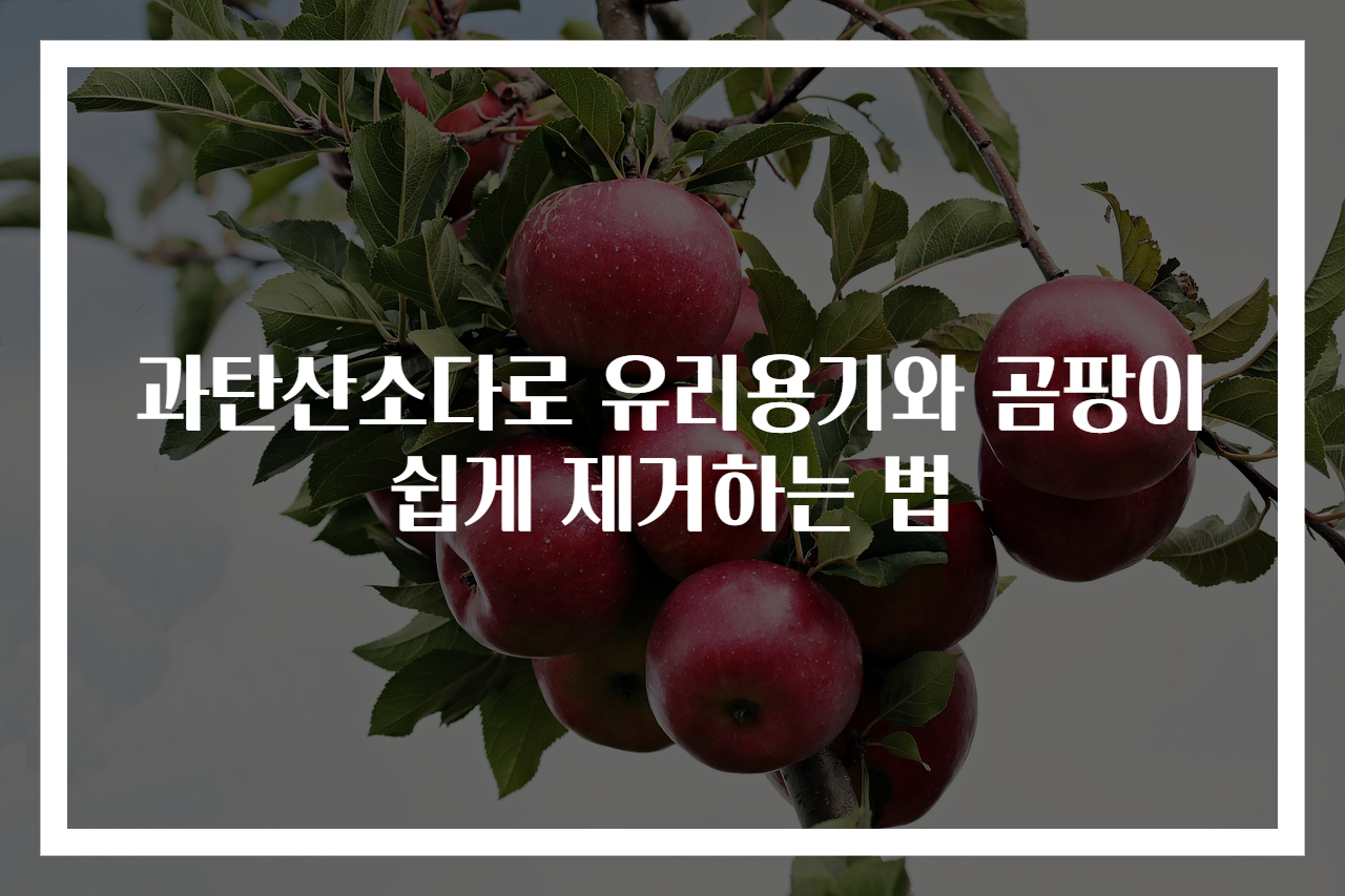 과탄산소다로 유리용기와 곰팡이 쉽게 제거하는 법