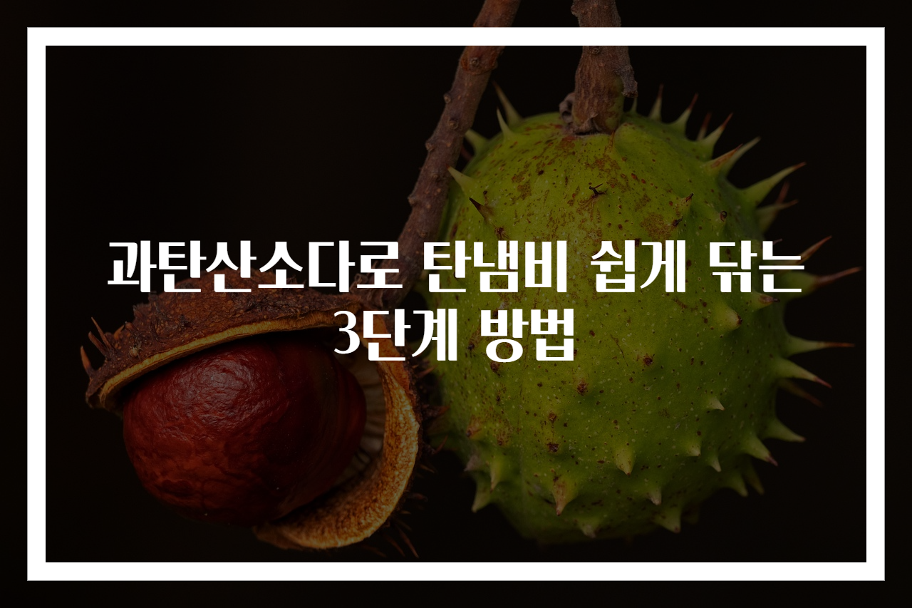 과탄산소다로 탄냄비 쉽게 닦는 3단계 방법